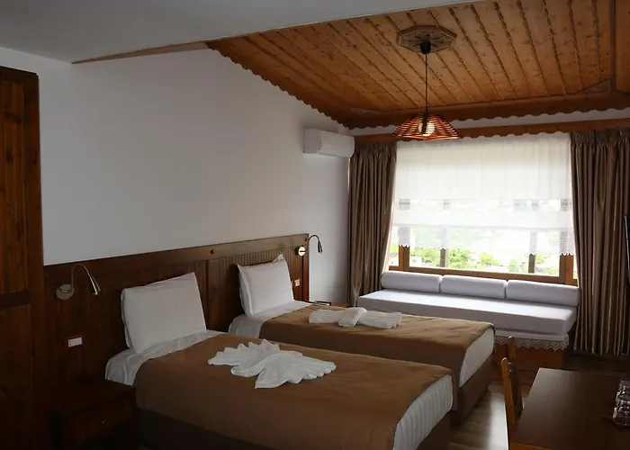 Hotel Kodra 3*