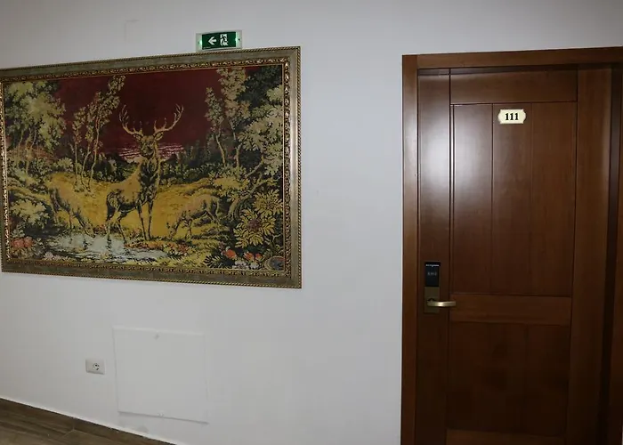 Hotel Kodra 3*