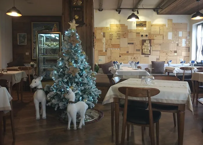 科德拉酒店 酒店 3*